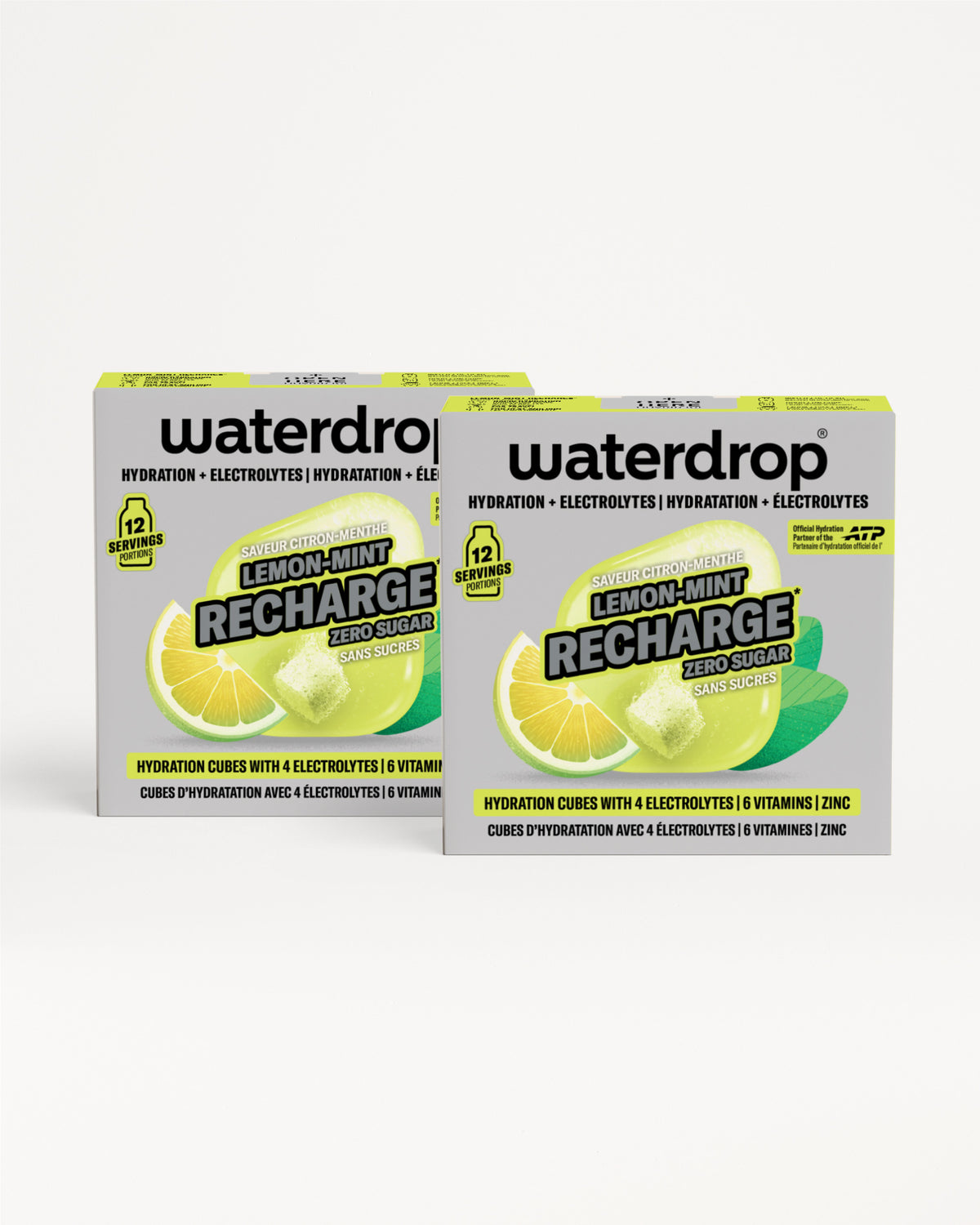 Microlyte RECHARGE Twin Pakiranje