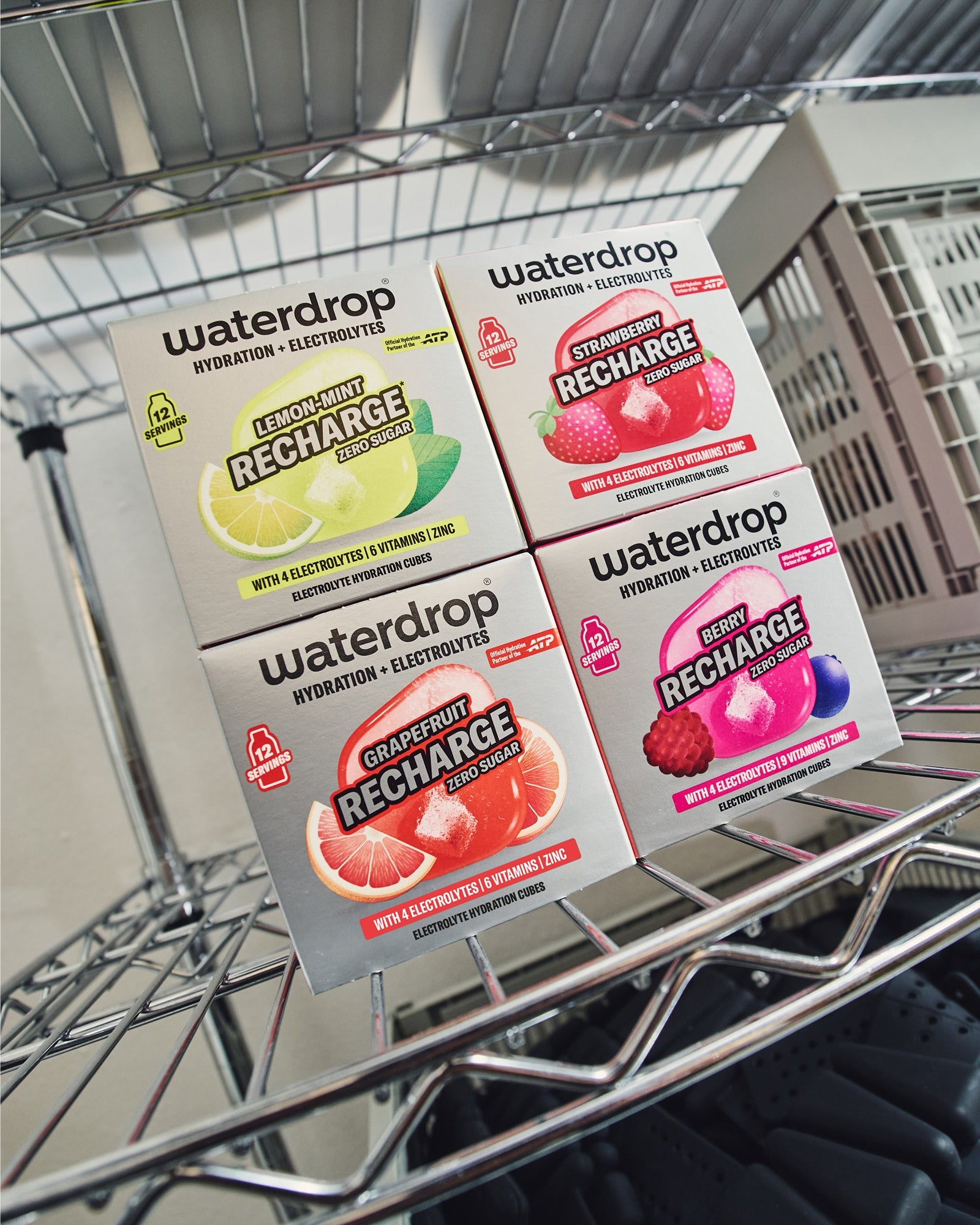 Microlyte Recharge Set