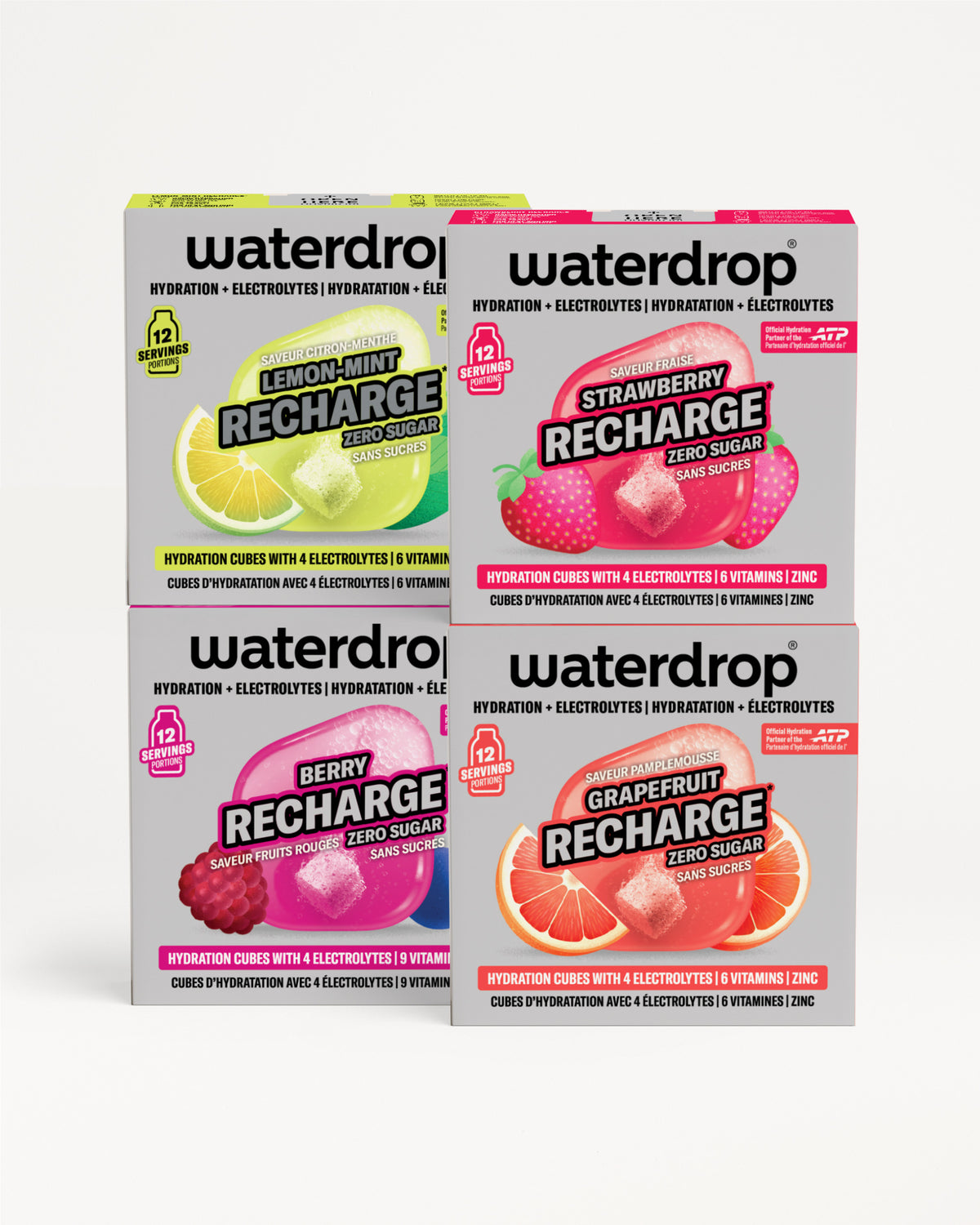 Microlyte RECHARGE Set