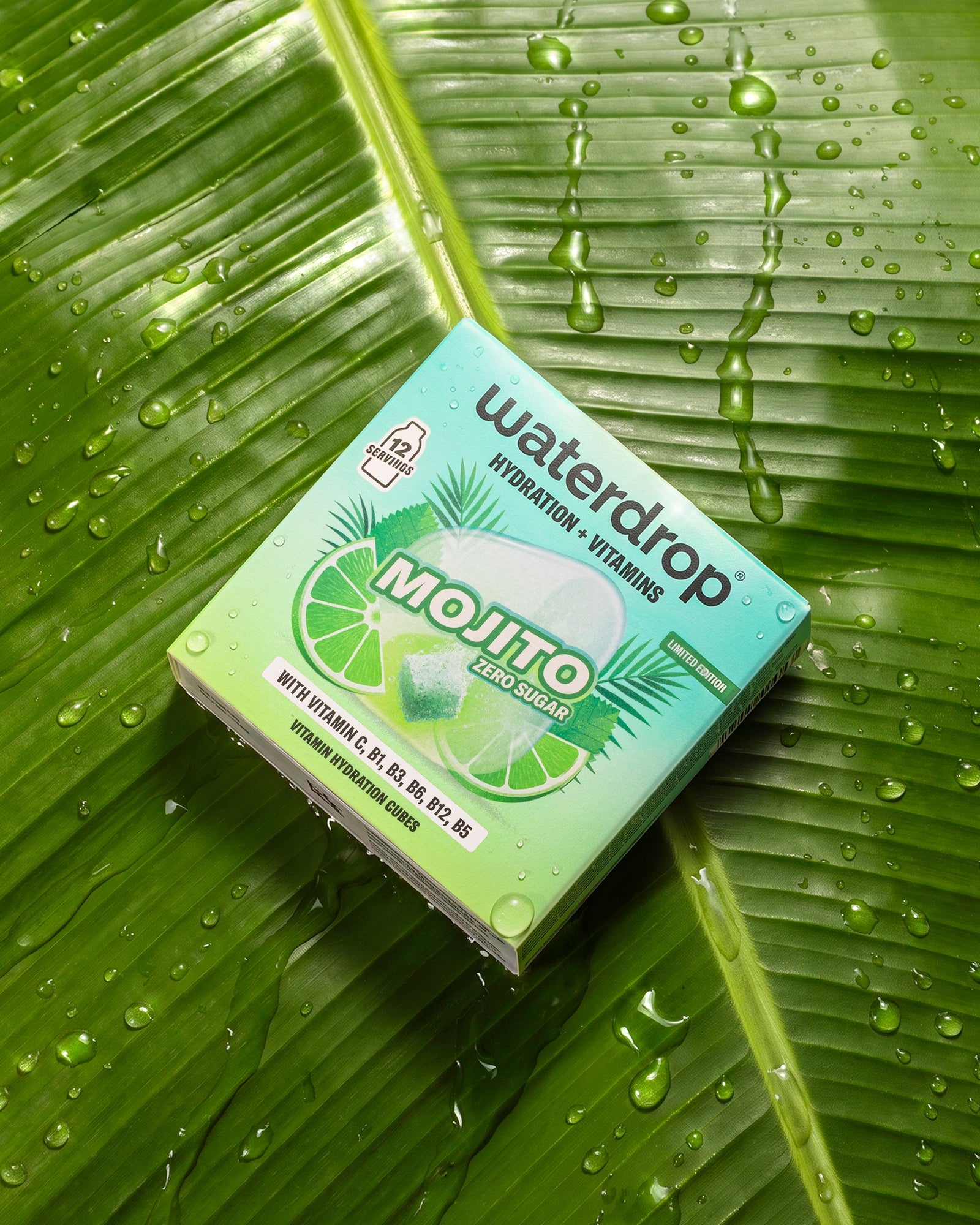 Set aksesoara MOJITO